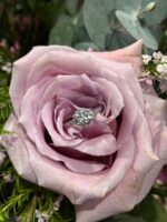 Imagen de WhatsApp 2025-03-14 a las 12.27.20_e27565a4