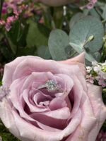 Imagen de WhatsApp 2025-03-14 a las 12.27.20_e93d1b2c